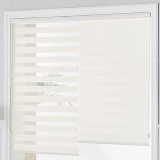 Window Shades 百葉窗