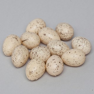 Mdesign 質感鵪鶉蛋裝飾模型 12入, 混色