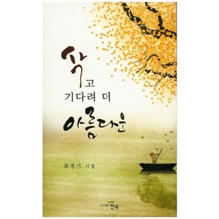 ChunWoo 等待熟成 更顯美麗, 崔永基 著, 天宇