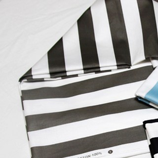 ECONY HOUSE 寬條紋布料, 灰色