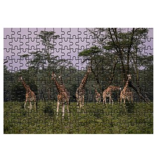 Da Moa試管拼圖 草原上的長頸鹿們, 180件, 混色