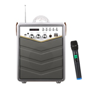 넥스트 블루투스 휴대용 스피커 앰프 NEXT-BT30AMP + 무선 마이크 NEXT-31MIC, BT30AMP(앰프), 31MIC(마이크)