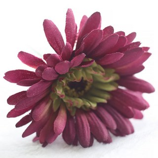 積木超市人造非洲菊菊花, 紫紅色