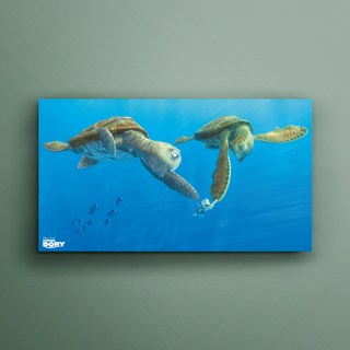 FINDING NEMO 海底總動員 Collection Plus 皮克斯 17053 海報 + 壓克力Diasec裱框