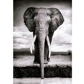 ZEZENEW 寶石十字繡 DIY套組 大象, 混合色, 1個