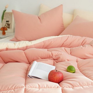 플란뉴 마이크로 나노화이바 차렵이불