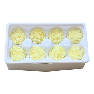 DM Corporation 人造花 I Love Home DIY 康乃馨 8入, 檸檬色