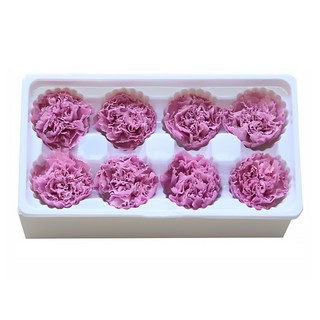 DM Corporation 人造花 I Love Home DIY 康乃馨 8入, 薰衣草紫