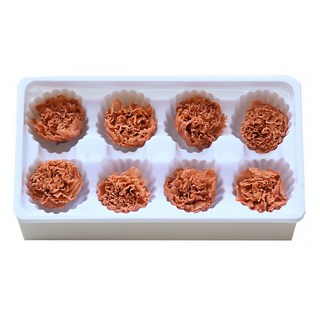 DM Corporation 人造花 I Love Home DIY 康乃馨 8入, 駝色