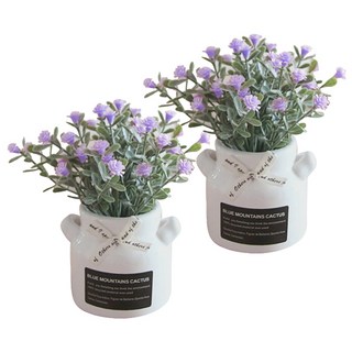 마켓감성 조화 안개꽃 미니화분 세트, 타입4, 2개