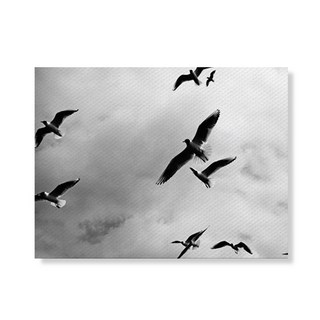 159 BW 帆布畫框 飛鳥