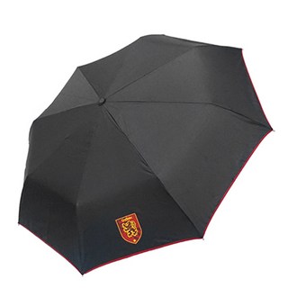 迪士尼 哈利波特 葛來分多 Logo 全自動雨傘 IUPTU70001