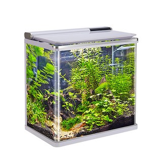 아마존 곡유리 아쿠아리움 수조 AMZ-630F, 화이트, 1개