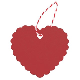 Blanche 愛心花朵素面吊牌 100個 + 麻繩 10m, 1套, 紅色