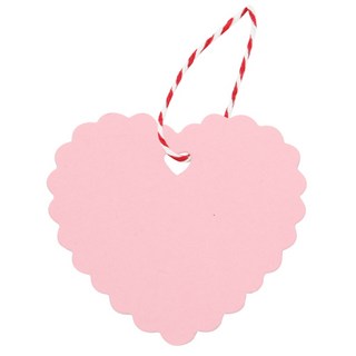 Blanche 愛心花朵素面吊牌 100入 + 紅色麻繩 10m 套組, 1套, 淺粉色