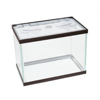 魚缸, Walnut, 1入