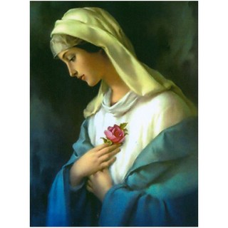 JoyJasu 11CT 十字繡印花套裝 290701 聖母瑪利亞, 1套, 混合色