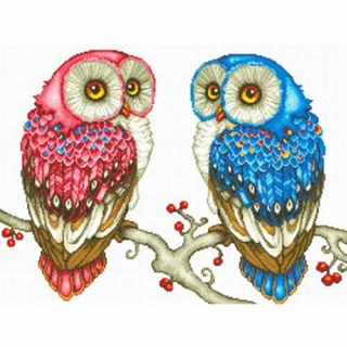 JoyJasu 11CT 十字繡印花套組 170501 幸運貓頭鷹, 1套, 混色