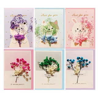 2000 드라이플라워 카드 + 봉투 6종 세트 V21-1, 혼합색상, 6개