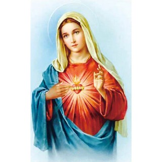 ZEZENEW B1144 寶石十字繡 串珠 DIY 套組, 聖母聖心, 1個