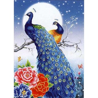 ZEZENEW A9203 鑽石畫 串珠 DIY 套組, 孔雀, 1個