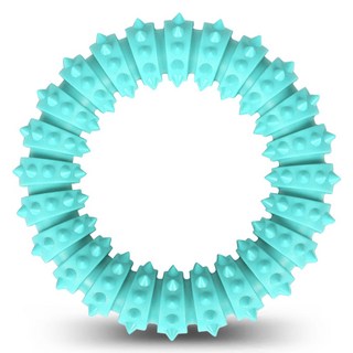 딩동펫 반려동물 스터드 치석제거링 장난감, 민트, 1개