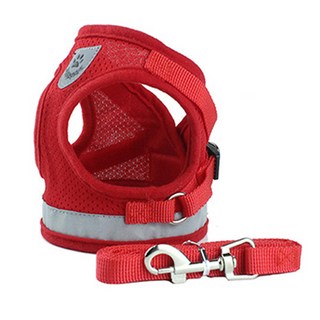케어펫 강아지 메쉬 하네스, 레드, 1세트