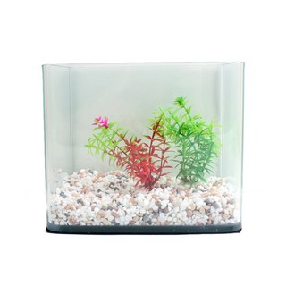 迷你水族箱+五色繩 600g+人造水草裝飾4組, 混色