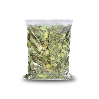 Jaaein 桑葉涼茶, 300g, 1包