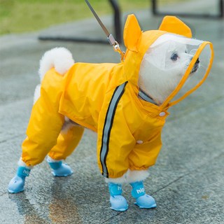 파스텔펫 애견 라인 캐릭터 우비, 베어, 1개