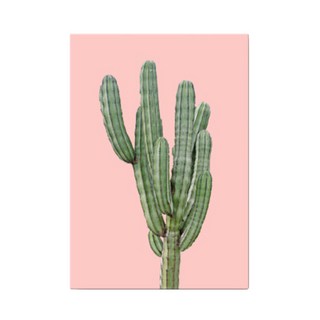 Block Mart 家居裝飾 室內設計 仙人掌帆布畫 粉紅色
