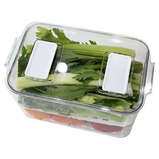 Homevanesse 透明PET冰箱瀝水收納盒, 1個, 1個