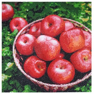 ZEZENEW 紅色蘋果 鑽石畫DIY套組, 混合色, 1個