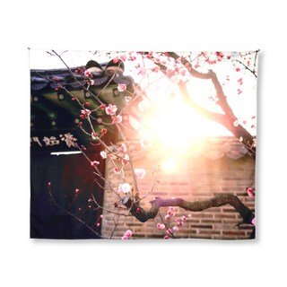 Dear Tree大型布海報, 38號