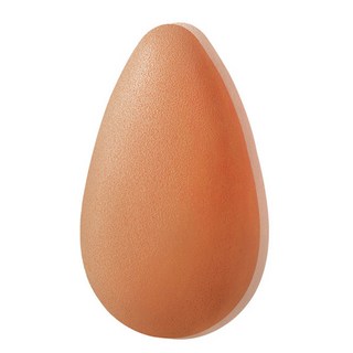 Picasso Collegioni 顏色提示海綿, 橘色, 1入