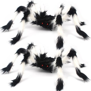 大型蜘蛛模型, 黑白色, 2個