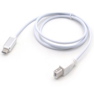 Seonjin Simply Piano Type C to USB B Midi Midi印表機線 白色 1m, SG004, 1個