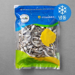 완도소안농협 멸치(대멸), 300g, 1개