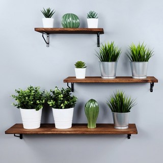 Baskin Plant 31 原木壁架 + 牆壁支架 2p, 炭棕色