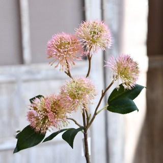 人造乾燥花 04號 DRYE023, 粉紅色, 1個