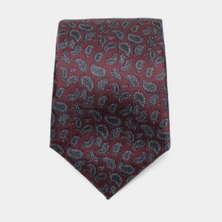 ALLCLASSIC 佩斯利領帶 ALCNT005