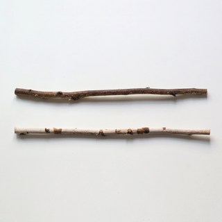 I am bloom 白樺樹枝裝飾品, 棕色