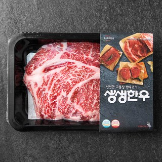 생생한우 1등급 숙성등심 구이용 (냉장), 200g, 1개