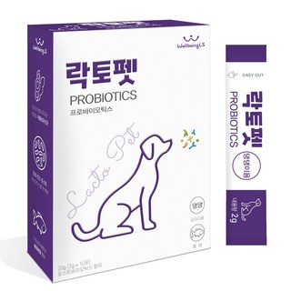 락토펫 강아지 영양제 스틱형, 20g, 장건강/유산균, 1개