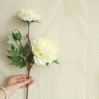 牡丹花室內裝飾人造花 2入, 象牙白