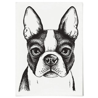 PANDASTIC 布掛畫 波士頓梗 F101