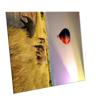 HTTP 裝飾地磚, C2491 坦尚尼亞疏林草原風景, 1個