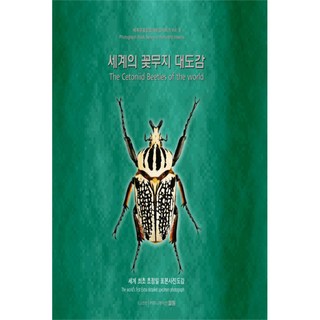 世界花金龜大圖鑑, 孫敏宇, 溝通開啟, 溝通開啟