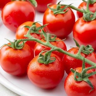 송이토마토, 700g, 1팩