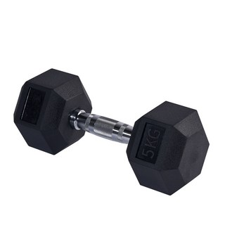 에르고기어 고무 육각아령, 5kg, 1개